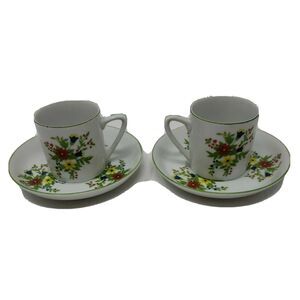 Shafford Persian Garden Japan Two Tea Cups & Saucers Vintage 1970s New Old Stock